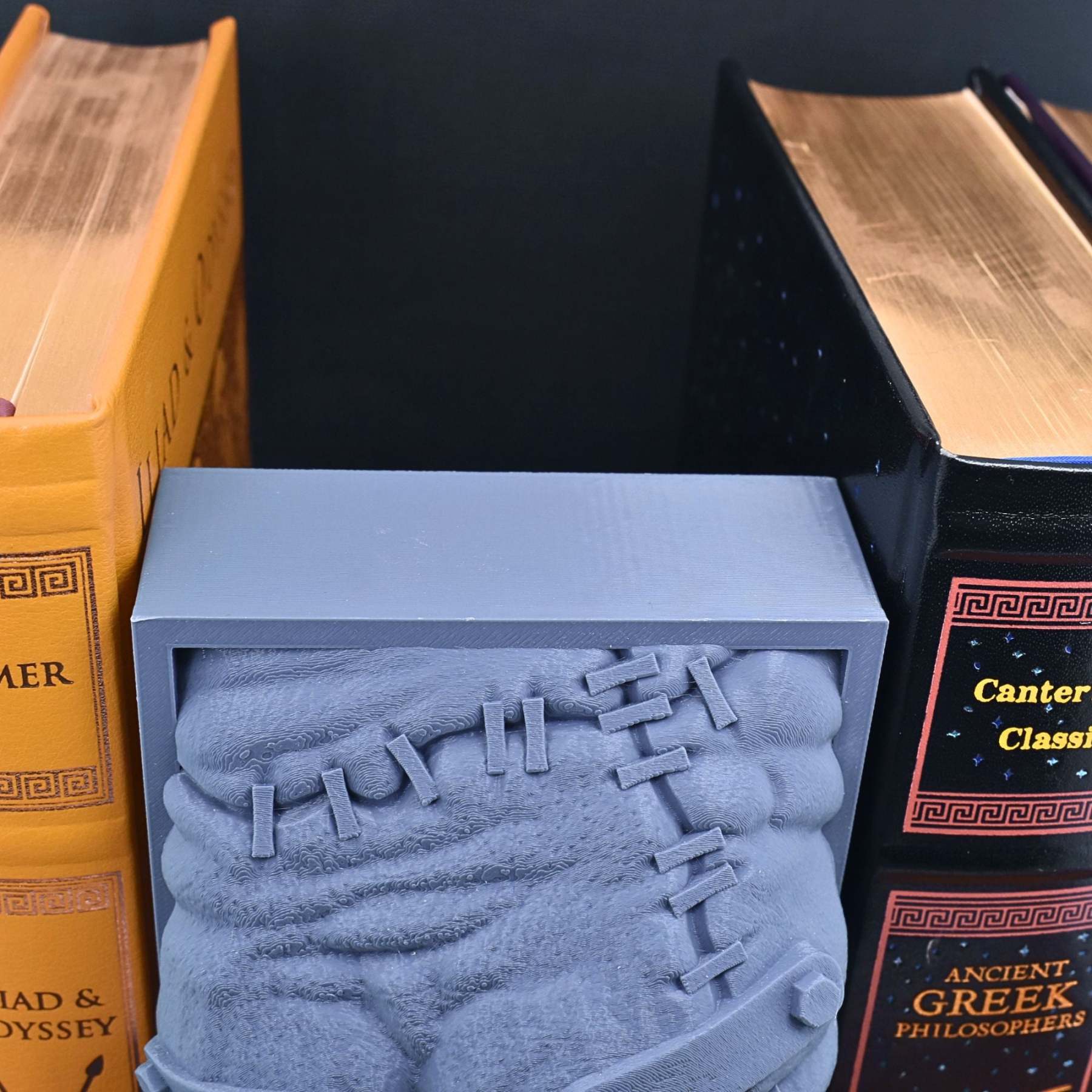 Frankenstein's Monster Book Nook