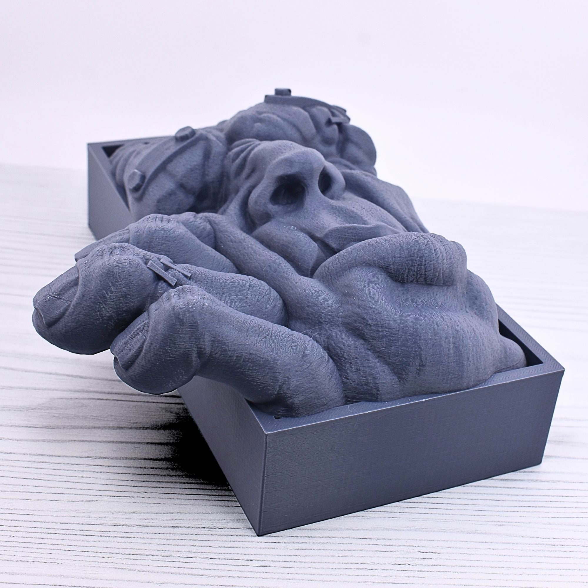 Frankenstein's Monster Book Nook