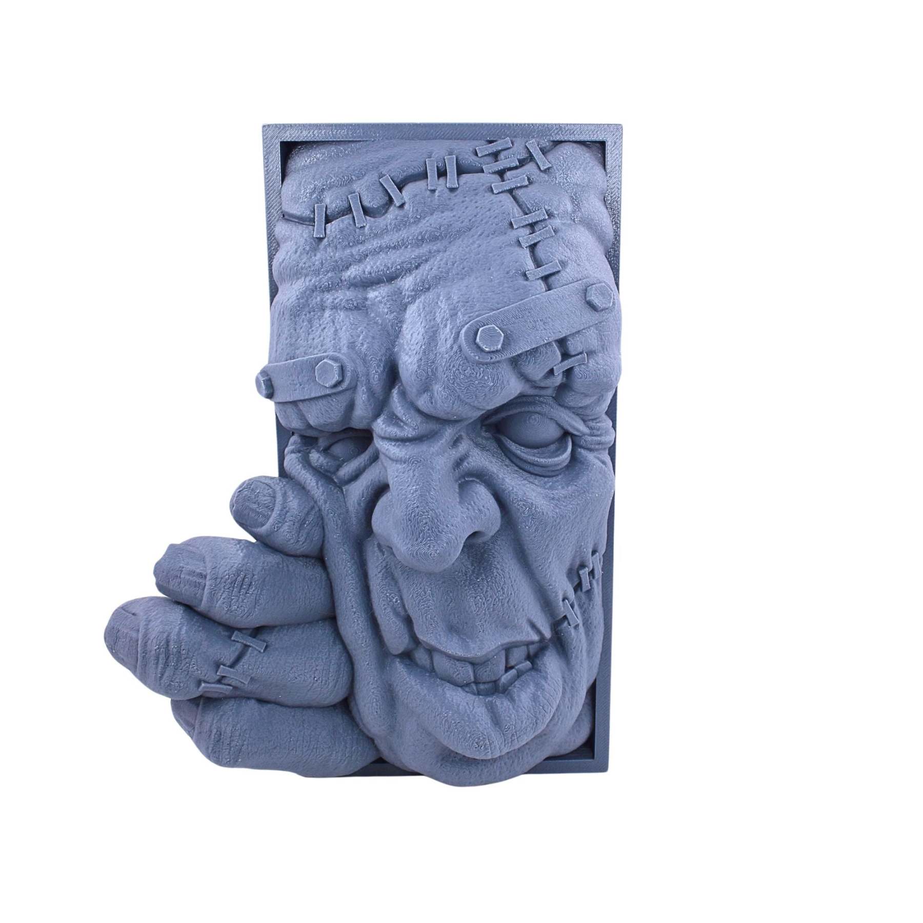 Frankenstein's Monster Book Nook