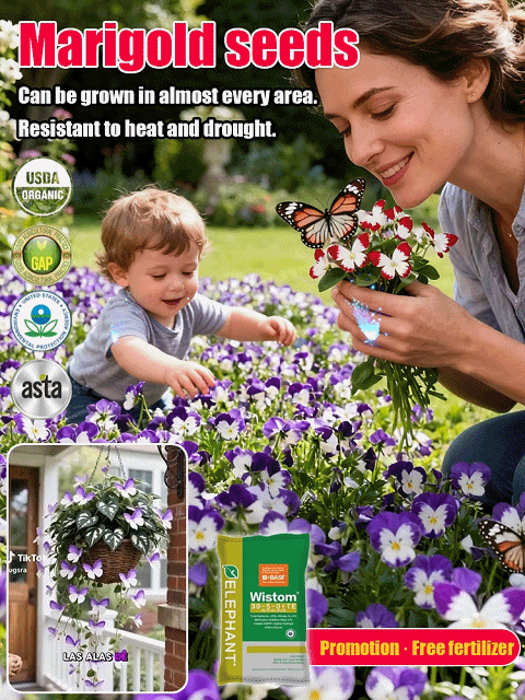 Moonlight Butterfly Flower Seeds – Rare Variety, High Germination Rate + Fertilizer Included