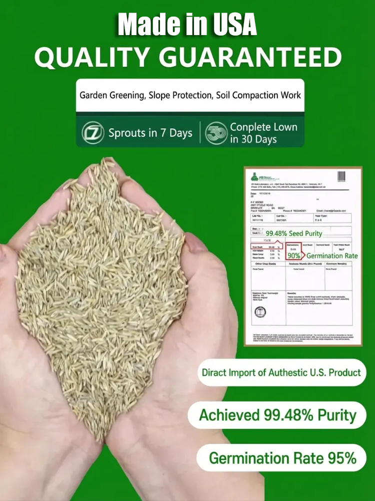7-day sprouting, fast lawn, all-season grass seeds