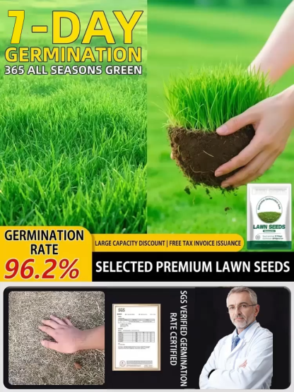 7-day sprouting, fast lawn, all-season grass seeds