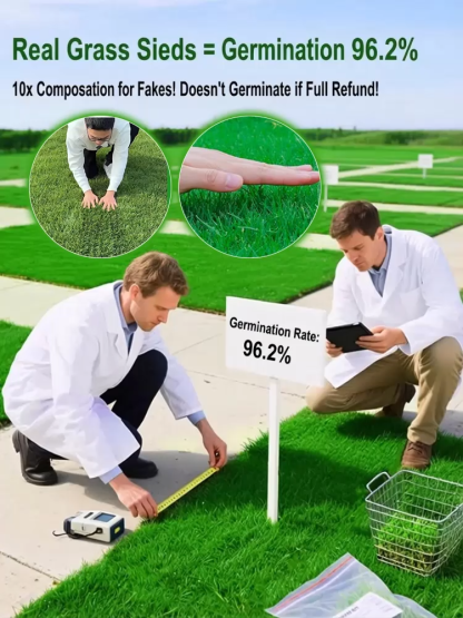 7-day sprouting, fast lawn, all-season grass seeds