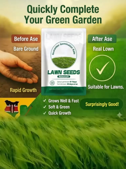 7-day sprouting, fast lawn, all-season grass seeds