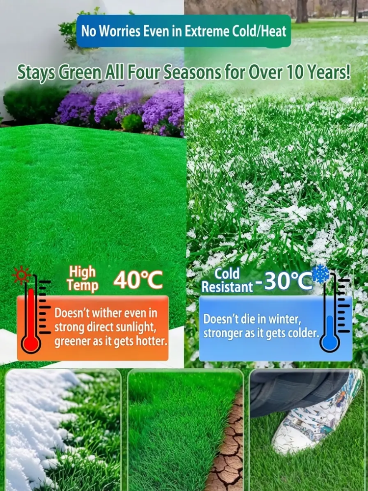 7-day sprouting, fast lawn, all-season grass seeds