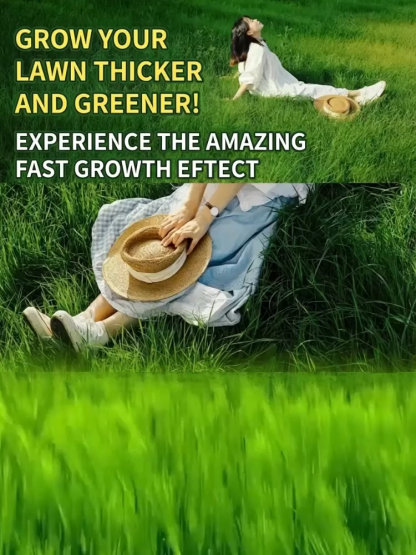 7-day sprouting, fast lawn, all-season grass seeds