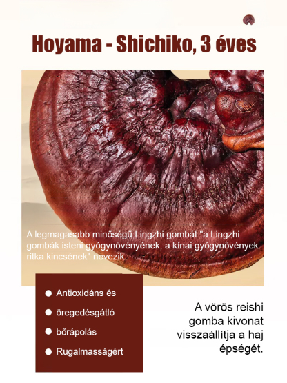 🍄✨ Fiatalos bőr a természet erejével! Próbáld ki a Lingzhi Ránctalanító és Bőrmegújító Tonikot most! 💧🌿