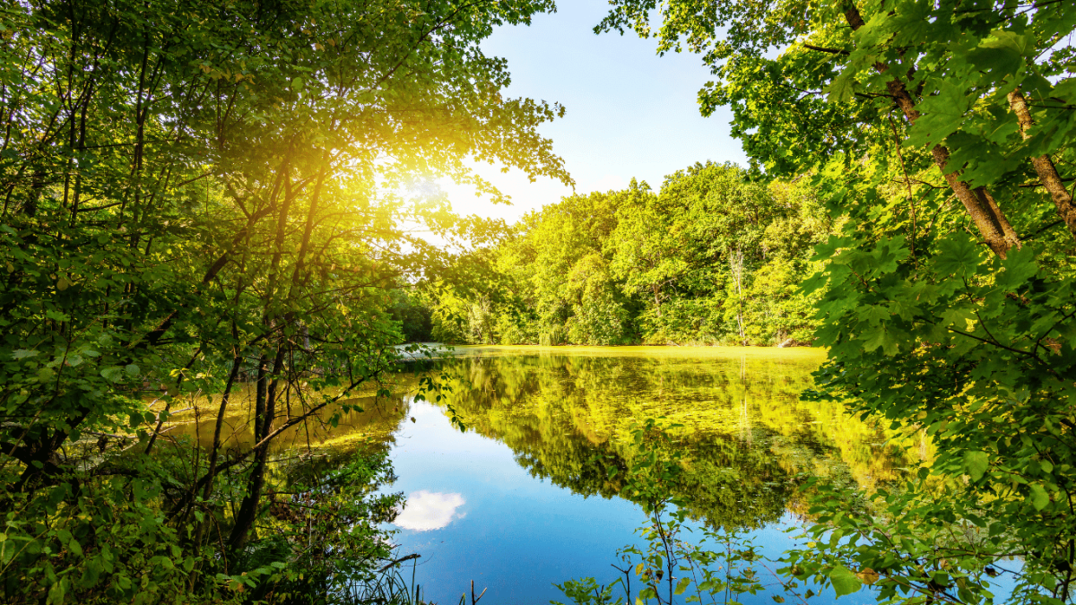 Spring Forward: 5 Ways to Boost Your Energy and Productivity This Season