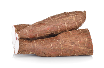 Tapioca Fiber