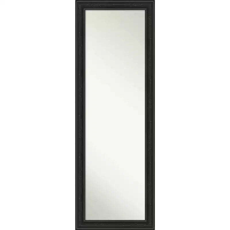 18" x 52" Non-Beveled Shipwreck Black Narrow Full Length on The Door Mirror - Amanti Art