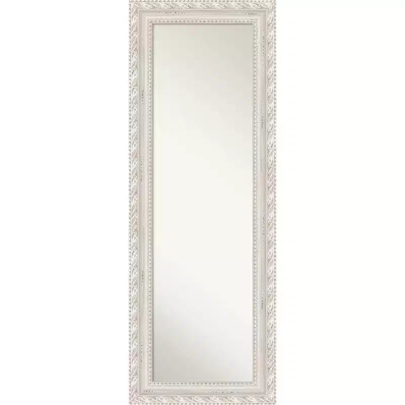 20"x54" Non-Beveled Opera Wood Door Mirror, Wall-Mountable - Amanti Art