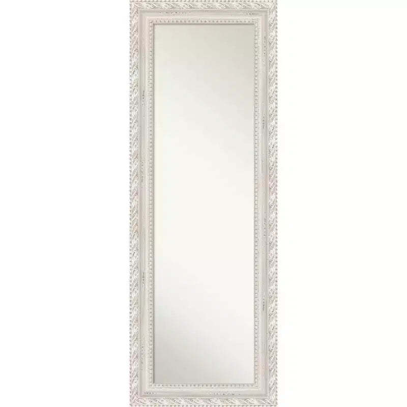 20"x54" Non-Beveled Opera Wood Door Mirror, Wall-Mountable - Amanti Art