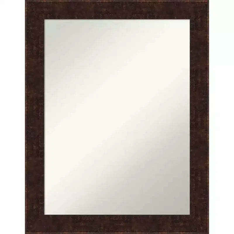 22" x 28" Non-Beveled William Mottled Bronze Narrow Wall Mirror - Amanti Art
