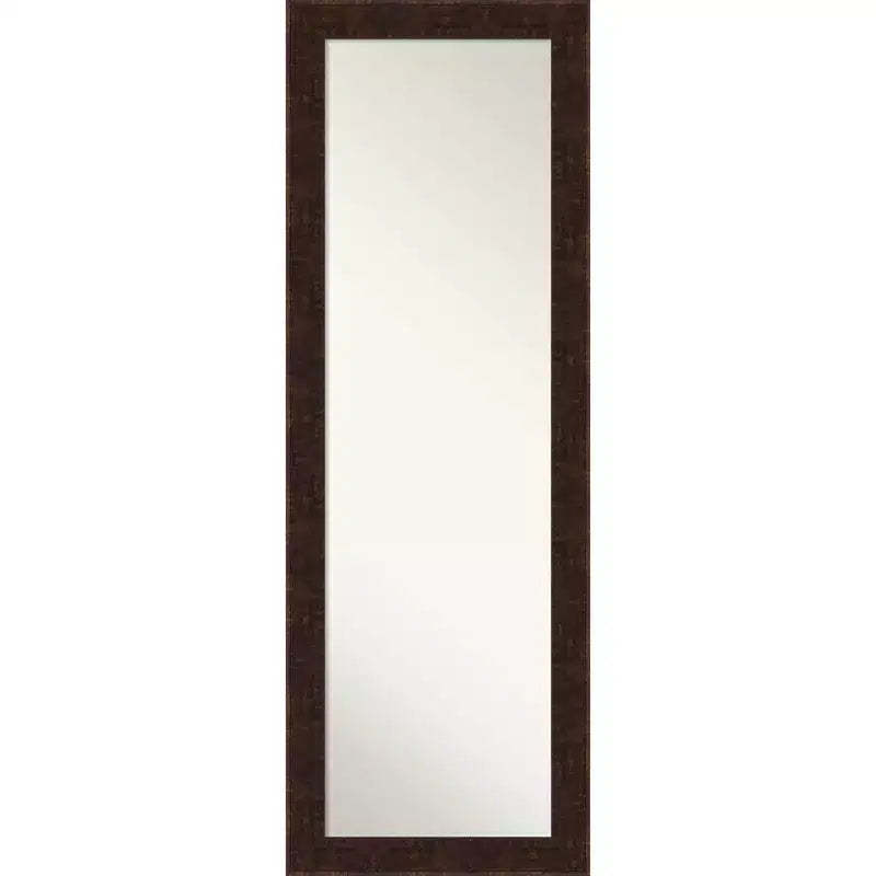 18" x 52" William Narrow Framed Full Length on the Door Mirror Bronze - Amanti Art: Polystyrene Frame, No Assembly Required