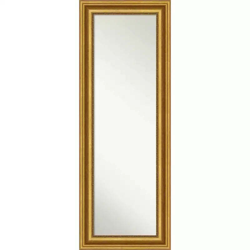 20" x 54" Non-Beveled Parlor Gold Full Length on The Door Mirror - Amanti Art: Includes Hooks, Polystyrene Frame, No Assembly Required
