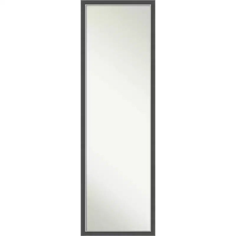 Eva Thin Framed Full Length on the Door Mirror Black/Silver - Amanti Art: Polystyrene Frame, No Assembly Required