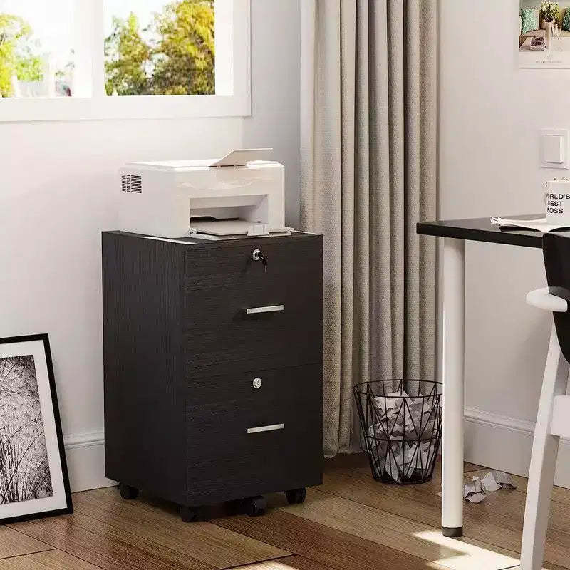 Karl Home 2-Drawer Black MDF 15.75in. W Vertical File Cabinet