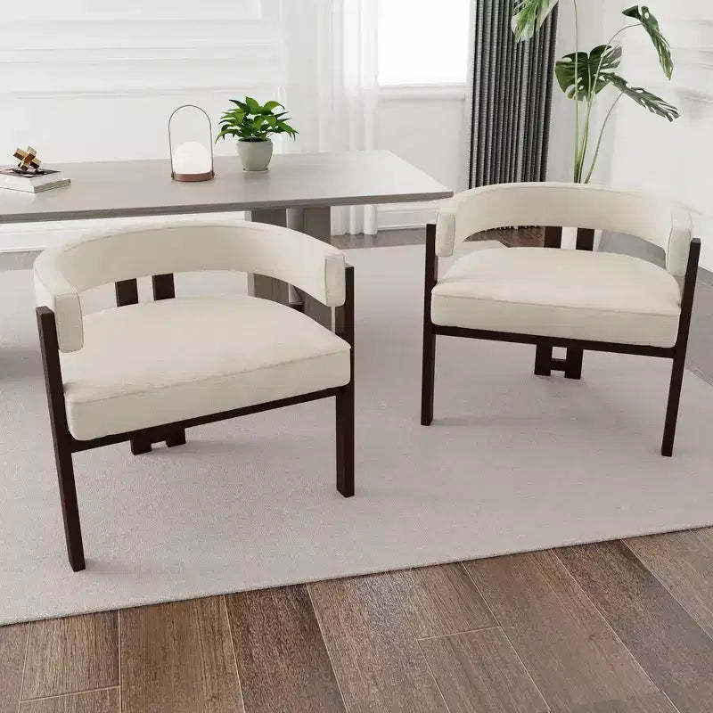 Okak Elegant Dining Chair Set of 2 Accent Chair with Teddy Cushion Dining Room Chair with Open 3 Legs for Living Room Bedroom