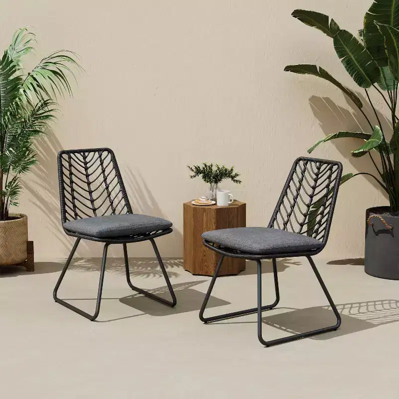 MAYEERTY Set of 2 Chairs With 2 Gray Cushions Comfortable Seating for Living Room Dining Room