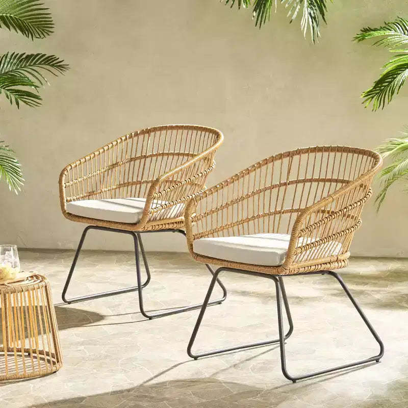 MAYEERTY Set of 2 Chairs With 2 Soft Cushions Versatile Seating for Living Room Bedroom