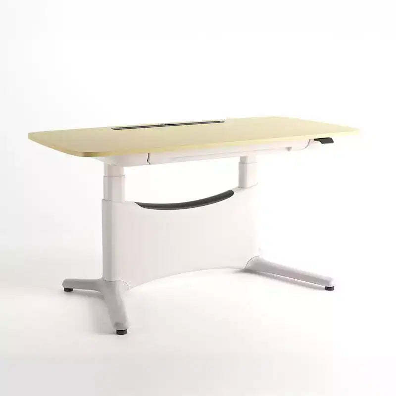 LumiDesk All in 1 Electric Height Adjustable Desk  Smart, Modular & Ergonomic