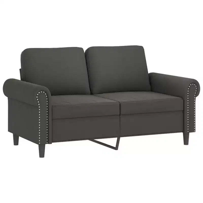 vidaXL Modern 2-Seater Sofa in Luxurious Dark Gray Velvet with Sturdy Metal and Plywood Frame  Comfortable, Stylish, and Easy-to-Assemble.