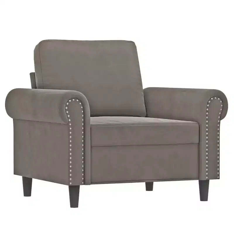 vidaXL Sofa Chair Light Gray Velvet (100% polyester), Plywood, Metal, Foam