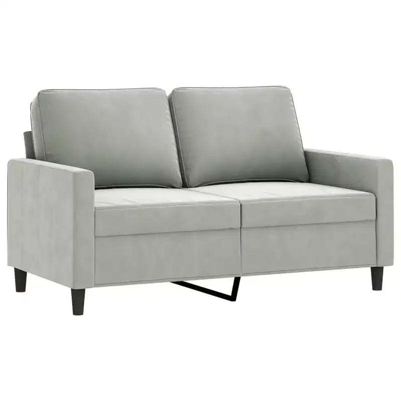 vidaXL Modern 2-Seater Sofa Crafted from Velvet and Metal Frame, Comfortable Padded Seating, Light Gray - Ideal for Living Room or Patio
