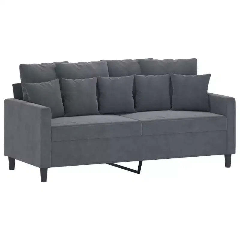 vidaXL 2-Seater Velvet Sofa  Modern Styling in Dark Gray with a Strong Metal Frame and Comfortable Seating