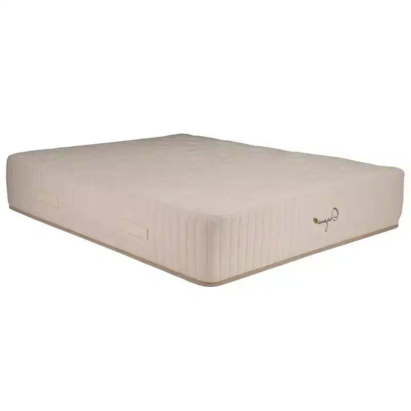 HomeStock Organa Super Plus 12 in. Latex Pocket Spring Mattress, Beige