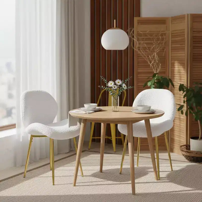 Homy Casa Set of 2 Modern Boucl Upholstered Dining Chairs with Gold Metal Legs, White