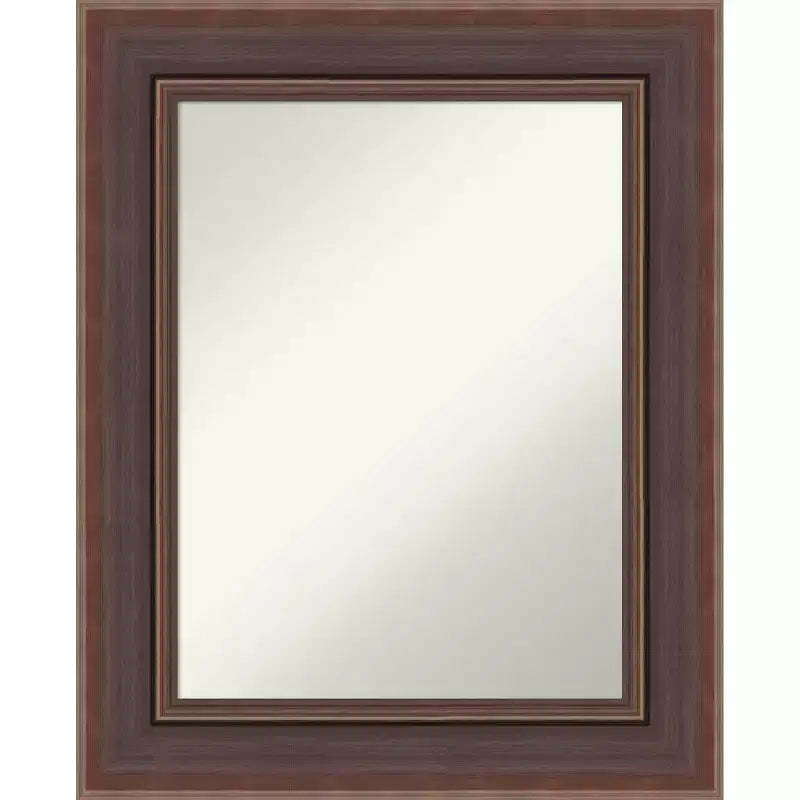 Amanti Art Moab Brown Bronze Non-Beveled Framed Bathroom Vanity Wall Mirror
