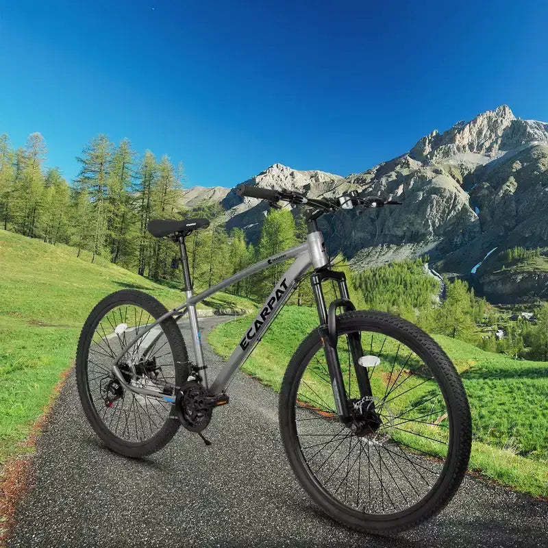 Whisen 27 Inch Mountain Bike 21 Speed, Suspension Fork, Aluminum Frame Disc Brake - Gray