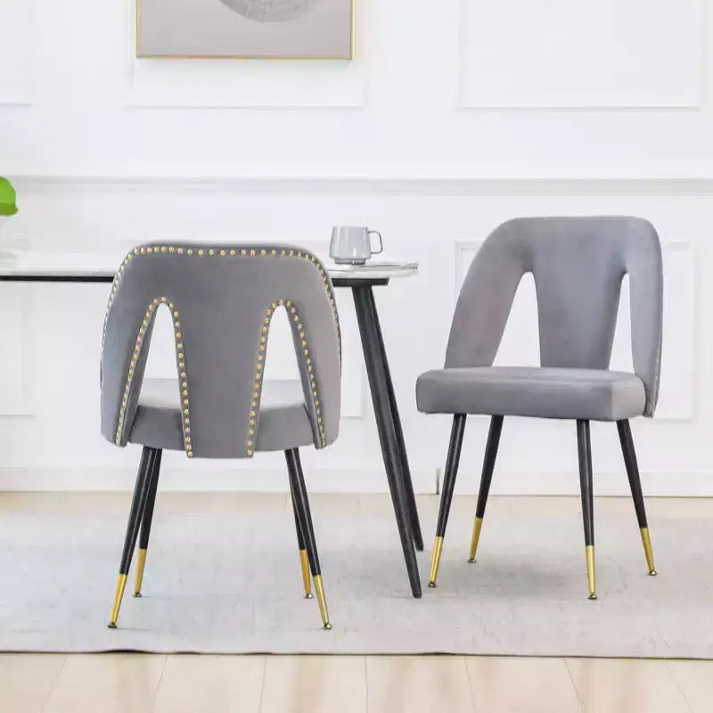 TUYOHW Contemporary Dining Chairs Set of 2,Sleek Dining Room Side Chairs,Chic Accent Chairs with Nailhead Trim Back for Kitchen,Home Decor