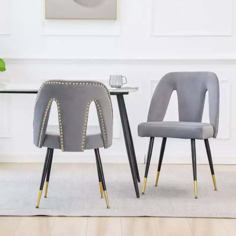 TUYOHW Contemporary Dining Chairs Set of 2,Sleek Dining Room Side Chairs,Chic Accent Chairs with Nailhead Trim Back for Kitchen,Home Decor