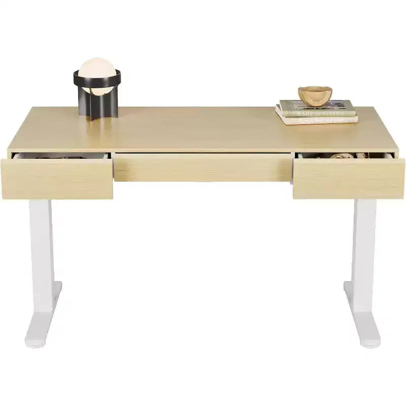 48 Inch Electric Standing Desk with Drawers, Height Adjustable Stand Up Desk with Storage, Computer Workstation for Home Office