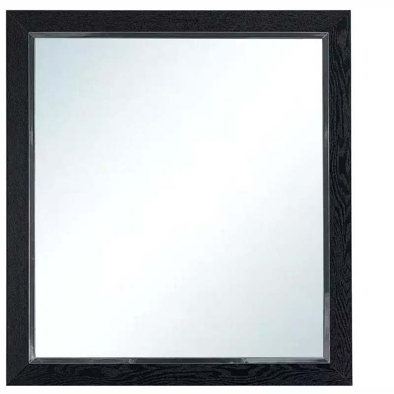 Passion Furniture Livingston 36 in. W x 40 in. H Rectangle Wood Frame Black Dresser Mirror