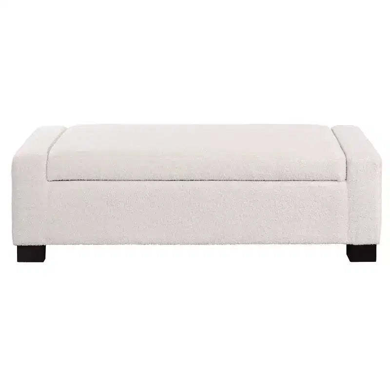 Christopher Knight Home Silas Indoor Upholstered Modern Storage Ottoman Beige