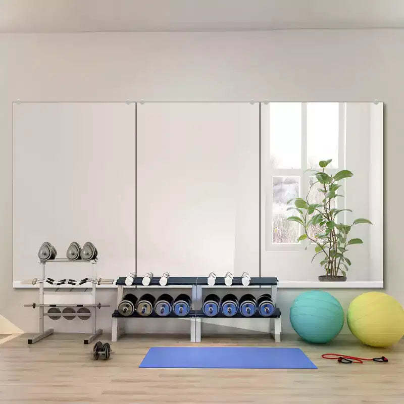 Dovelina Rectangular Gym Mirror Decorative Wall Mirror Large Wall Mirror - 47x32
