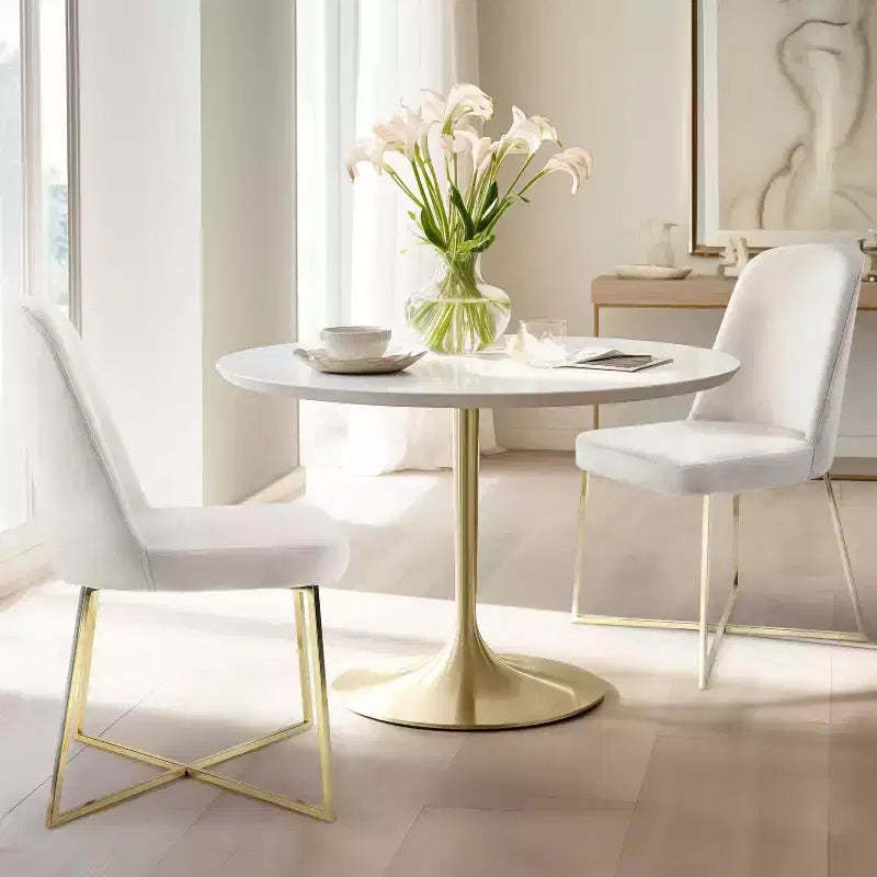 Well Woven Rachelle Velvety Soft Modern Accent Chairs With Metal Legs - Perfect for Vanity, Living Room,Office, Dining Room