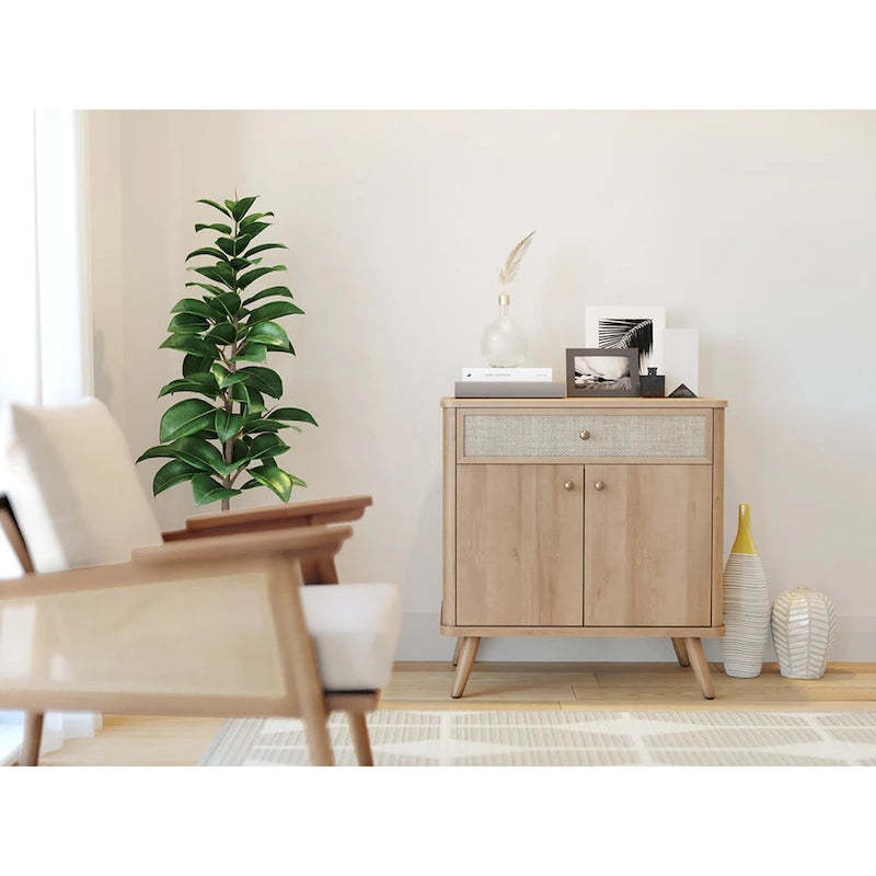 Thelma KD Rattan Small Cabinet 1 Drawer 2 Doors