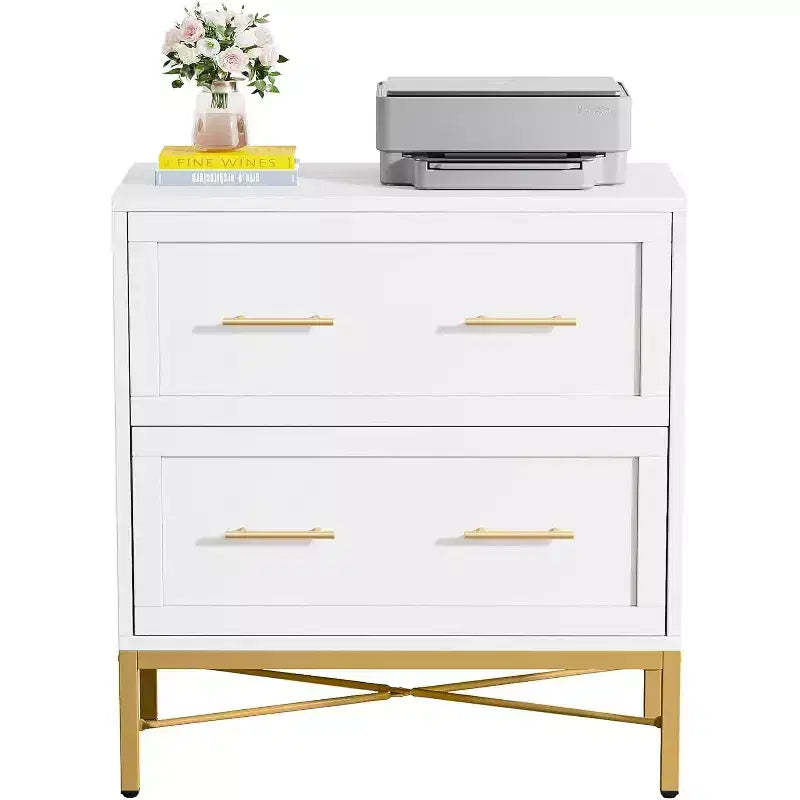 Tribesigns Lateral Filing Cabinet, 2-Drawer File Storage Cabinet