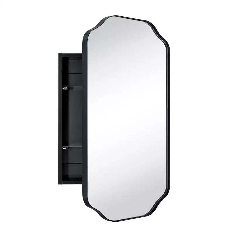 TEHOME Osterhus 18 in. W. x 29 in.Arched Metal Rectangular Surface Mount Medicine Cabinet with Mirror in Matt Black