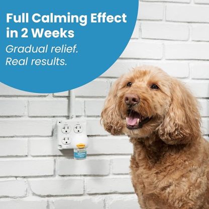 Dog Calming Diffuser - Pheromone Diffuser for Indoor Behavior Support, Anxiety Aid, 60-Day Long-Lasting Refill Kit, Natural Formula
