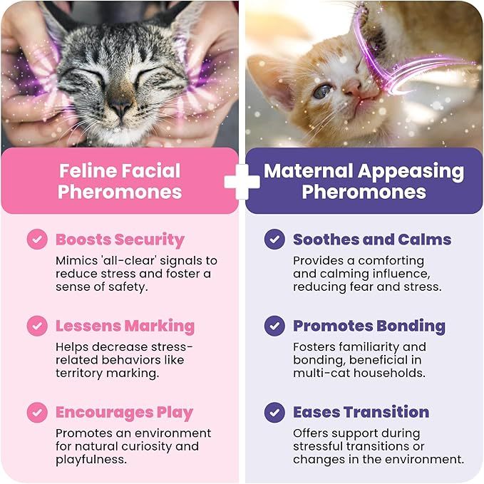Cat Calming Diffuser Pheromone Kit - Multi-Cat Anxiety Relief Stress Insert 700 Square Feet Coverage Veterinarian Recommended.