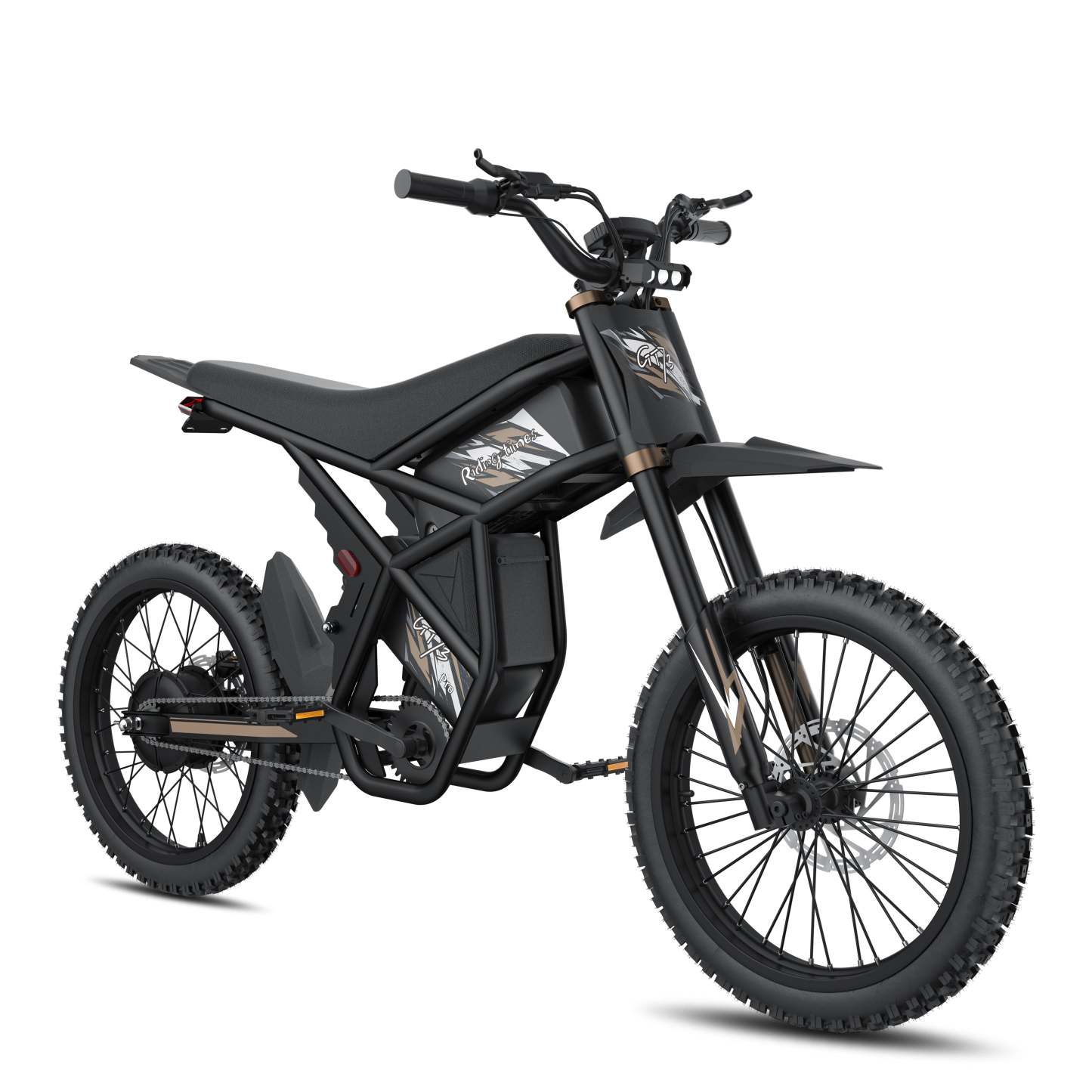 GT73 /PRO Electric Motorbike