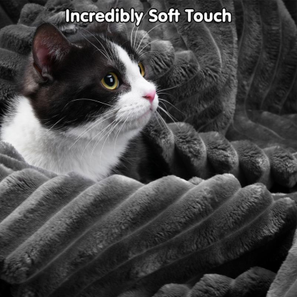 Epic Clearance: Lowest Prices Ever, Stock Won’t Last!