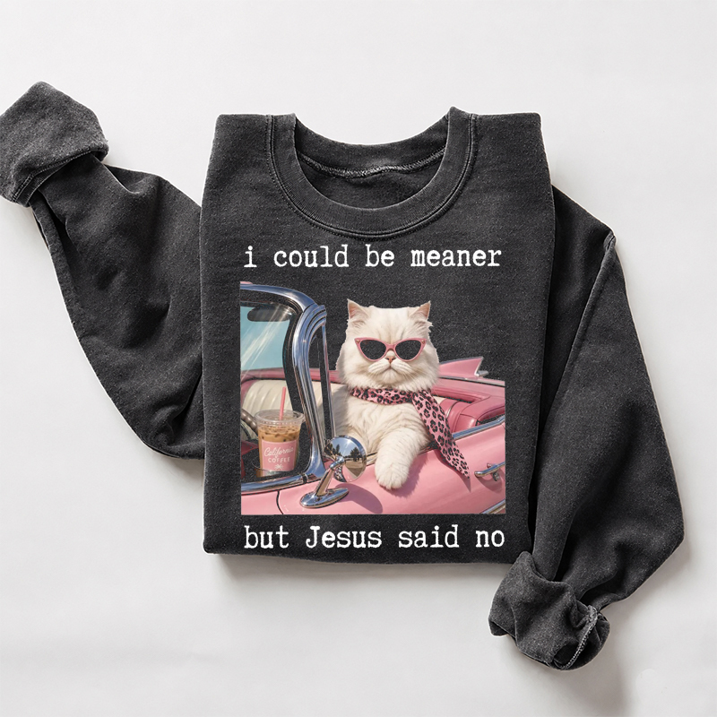 I Could Be Meaner But Jesus Said No Sweatshirt