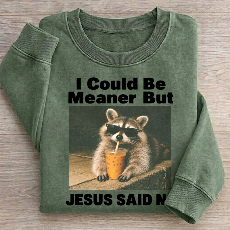 I Could Be Meaner But Jesus Said No Raccoon Sweatshirt
