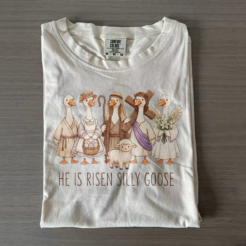 He Is Risen Silly Goose T-shirt